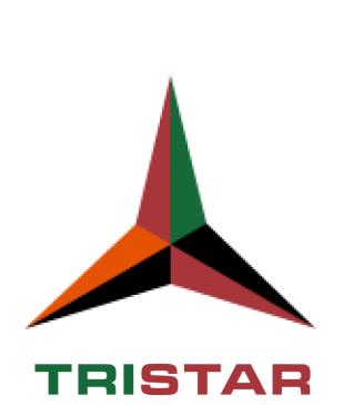 Block Gemini - Tristar Logo